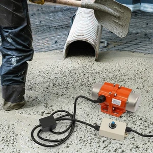 Vibrating Motor with Speed Controller Single Phase Asynchronous Motor 100W - Foto 1 di 11