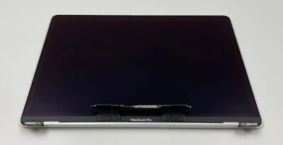 Display Displayeinheit für MacBook Pro 13,3" 2018 2019 TEILDEFEKT SILBER A1989 - Bild 1 von 4