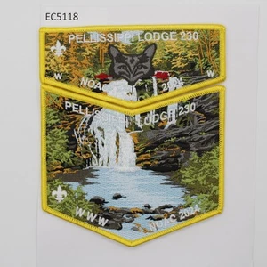 Boy Scout OA 230 Pellissippi Lodge 2024 NOAC Flap Set - Picture 1 of 1