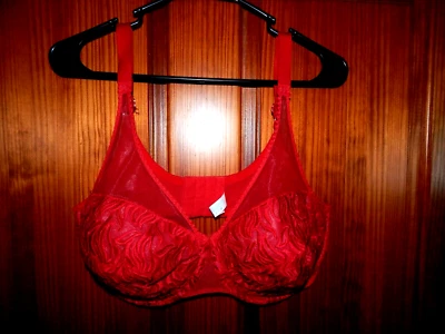 PLAYTEX SUJETADOR CON AROS BORDADO REALMENTE ROJO, FORRO DE TELA, TALLA 40 DD Foto 1 de 3