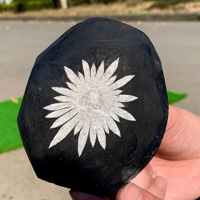 253G Natural Chrysanthemum Stone Quartz Carving Halo Treatment Gift - Image 1 of 4