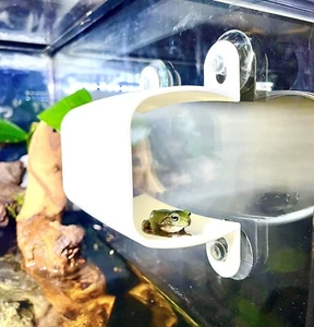 Gecko Frog Wall Decor Hide For Enclosure Amphibian Reptile Tank Hammock Supplies - Picture 1 of 6
