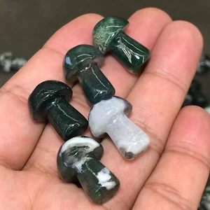 Gema curativa Reiki cristal cuarzo hongo ágata acuática natural 10 un. - Imagen 1 de 9