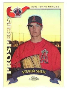 2002 Topps Traded Chrome Refractor #256 Steven Shell Anaheim Angels RC BV$4 - Picture 1 of 1