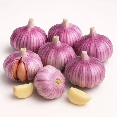 Garlic Bulbs for Planting (6 Pack) – Fresh Hardneck Seed Garlic, Non-GMO Heirloo - Image 1 of 3