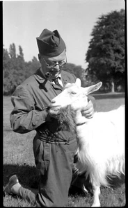 Homme Militär Nourishing Ziege - Antik Negativ Foto - Bild 1 von 1