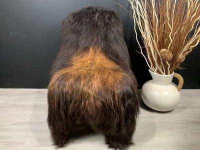 Alfombra de piel de oveja islandesa natural - negra y marrón piel de oveja genuina tiro para mascotas Foto 1 de 4