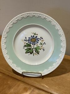 Wedgwood Corinthian Blue Bell & Iris, Mint Green 10.75" Dinner Plate *Read*