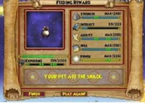 Wizard 101 Pet Training Service Per hour - Picture 1 of 1
