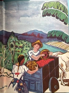 Wings Over Central America 1947 First Pachita Crespi Signed And Illustrated - Picture 1 of 23