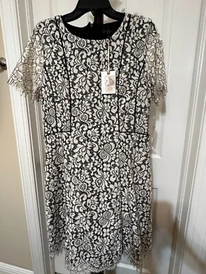 Jessica Simpson Black and White Lace Dress - Image 1 of 4