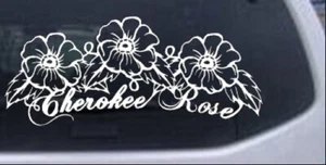 Cherokee Rose Vines Car or Truck Window Laptop Decal Sticker 10X4.3 - Bild 1 von 33
