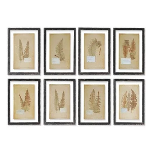 Juego de arte de pared botánico helecho enmarcado - Naturalista vintage, juego de 8 - Imagen 1 de 12