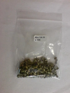 4BA 1/4" Round Head x 100 - Picture 1 of 1