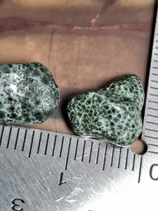 Gemma lucida Michigan Isle Royale Greenstone clorastrolite 2,1 g lotto luminoso 🌞  - Foto 1 di 10