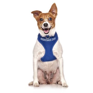 ASSISTANCE DOG - Small adjustable Vest Harness - Picture 1 of 3