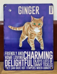 Ginger Cat - Wandschild aus Metall im Vintage-Stil - Bild 1 von 1