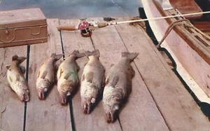 Postal Fish on Dock Greetings from Lorain Ohio 1961 - Imagen 1 de 2