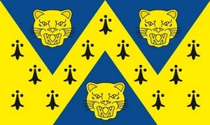SHROPSHIRE NEW DESIGN 5 X 3 FEET FLAG polyester fabric SHREWSBURY TELFORD - Picture 1 of 1
