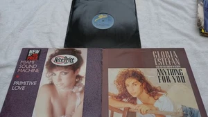 GLORIA ESTEFAN & MIAMI SOUL - 3 records- Anything For You/ Primitive Love/ Dr.Be - Picture 1 of 4