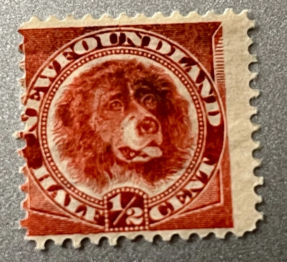 NEWFOUNDLAND SCOTT # 56 1/2c.VALUE ROSE RED COLOR NEWFOUNDLAND DOG MH N32 - Image 1 of 1
