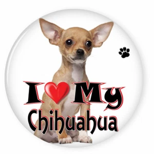 I LOVE MY CHIHUAHUA DOG PUPPY 3" SAFETY PIN BACK BUTTON - Picture 1 of 2