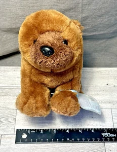 Ganz Webkinz Signature Chow Chow Plush Dog Brown Unsure If Code Works - Picture 1 of 15