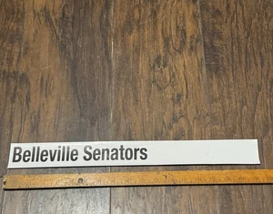 Belleville Senators AHL Issued Pro Stock Locker Room Standings Board Nameplate 2 - Picture 1 of 3