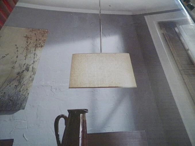 allen + roth  2-Light Wheat brushed nickel Transitional Drum Pendant Light - Image 1 of 1