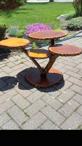 Mid Century Live Edge Wood Side Table Plant Stand 3 Tier Tree Slice Trunk adjust Cover