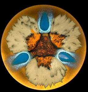 Vintage Mid Century Edwards Star Enamel on Copper Plate Gump's San Fransisco - Picture 1 of 9