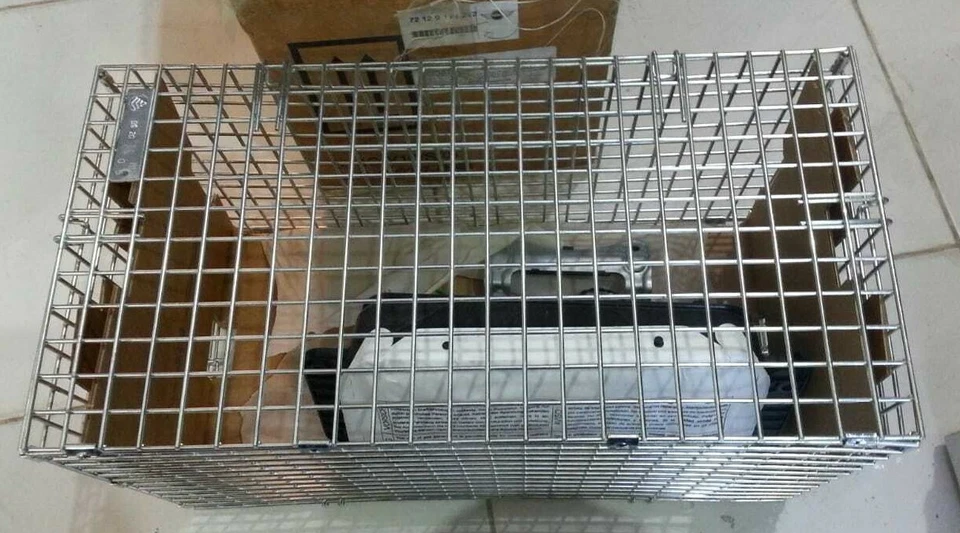 Nuevo módulo de bolsa original BMW 72129115222 para lado pasajero b&v Foto 1 de 1