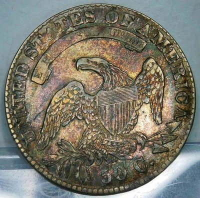 1831__TONIFICADO MONSTRUO__Medio dólar busto tapado__¡Muy único! Foto 1 de 4