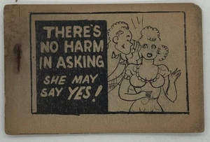 Vintage Tijuana Bible – “There’s No Harm in Asking” – Adult Comic Booklet - Imagen 1 de 3