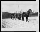 Boxwood Ice Cutting,Horse Drawn,Equipment,Crowd,Old Lyme,Connecticut,Ct,1900
