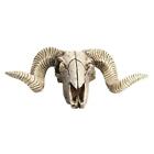 Retro Resin Ram Sheep Head Skull Big Horns Home Office Wall Mounted Decor