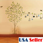 Tree Photo Frame Bird Removable Vinyl Art Wall Sticker Decal Home Decor