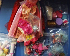 Großes Barbiepuppen-Zubehörset Schuhe,Schmuck,Schminkutensilien,Kleider - Bild 1 von 20