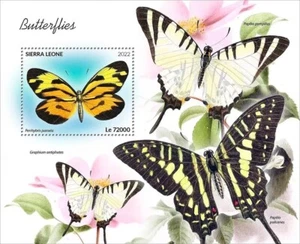 MARIPOSAS Mariposa Insectos MNH 1v-Sello Hoja #766 (2022 Sierra Leona) - Imagen 1 de 1