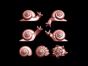 15x 28mm/ 1:56th scale Resin Snails Basing Bits - Foto 1 di 3