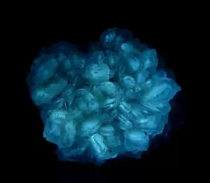 GYPSUM var. SELENITE -- TOP LW FLUORESCENT !!! Poland - Kuyavia - Dobrzyń /pi864 - Picture 1 of 24