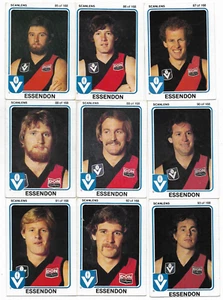 1981 Scanlens ESSENDON Team Set (14 Cards) - Bild 1 von 4
