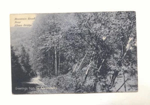 MOUNTAIN ROAD ELBOW BRIDGE GREETINGS FROM ADIRONDACKS Vintage Postcard - Picture 1 of 2