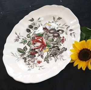 English Staffordshire J &G Meakin GAINSBOROUGH Multi Color Fruit/Floral Platter - Picture 1 of 13