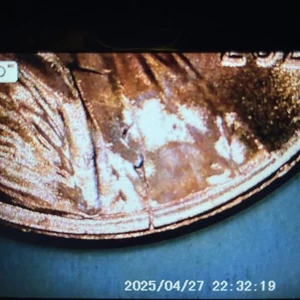 2024 Penny With Wounded Heart Error Double Die On The Date & Shield High Grade - Picture 1 of 5