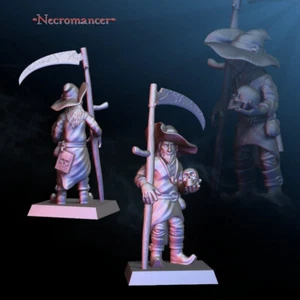 Necromancer - Dark Wizard - Pointed Hat Wizard - Picture 1 of 3