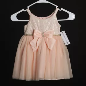 Sweet Heart Rose Pink Tulle Dress 24M - Picture 1 of 7