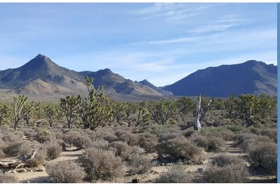 JOSHUA TREE 1,25 ACRES --ASEQUIBLE Foto 1 de 4