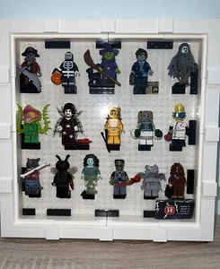 LEGO SERIES 14 Collectible Minifigures 71010 - Complete Set of 16 with Frame - Picture 1 of 2