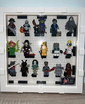 LEGO SERIES 14 Collectible Minifigures 71010 - Complete Set of 16 with Frame - Image 1 of 2
